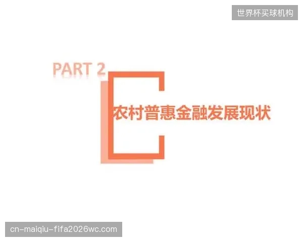 下沉到乡镇的普惠金融资金，有多少真正用在了农村体育设施的刀刃上？